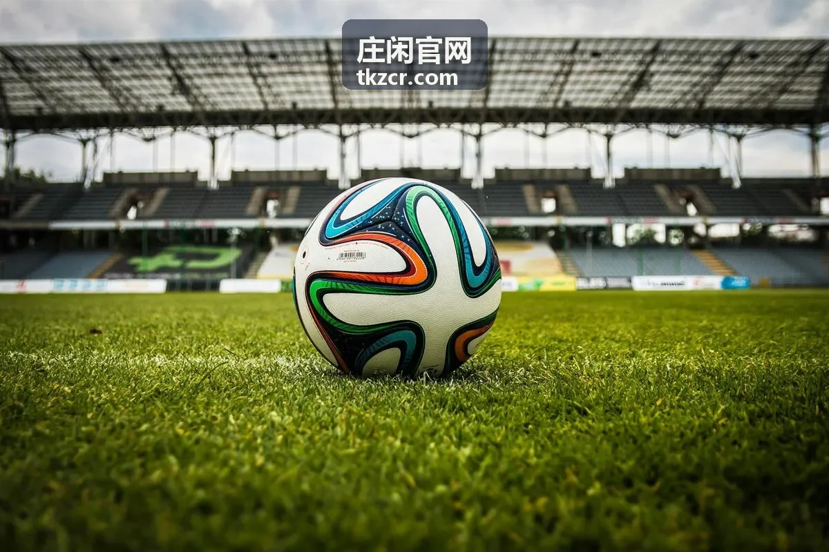 庄闲官网玩法讲解术语与理解示意